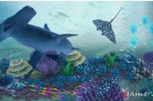 开玩棋牌ky2024最新版